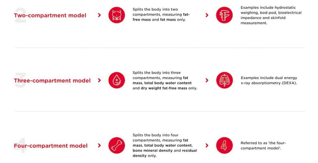 Is Your **Female Body Fat Percentage** Normal? Here'S The Definitive Guide! - gqo8bkz