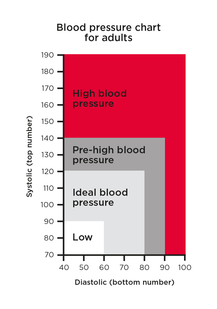 Everything You Need To Know About Blood Pressure