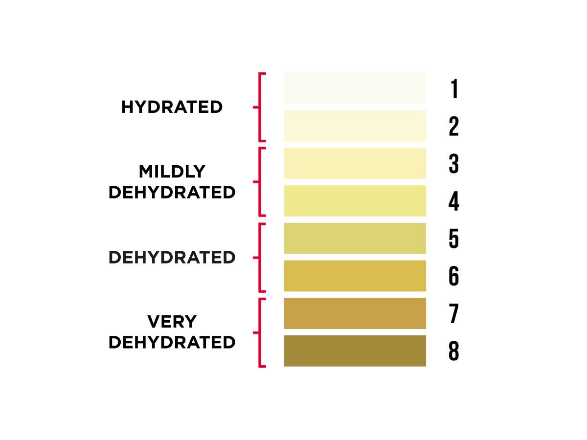 How much water should I drink in a day?